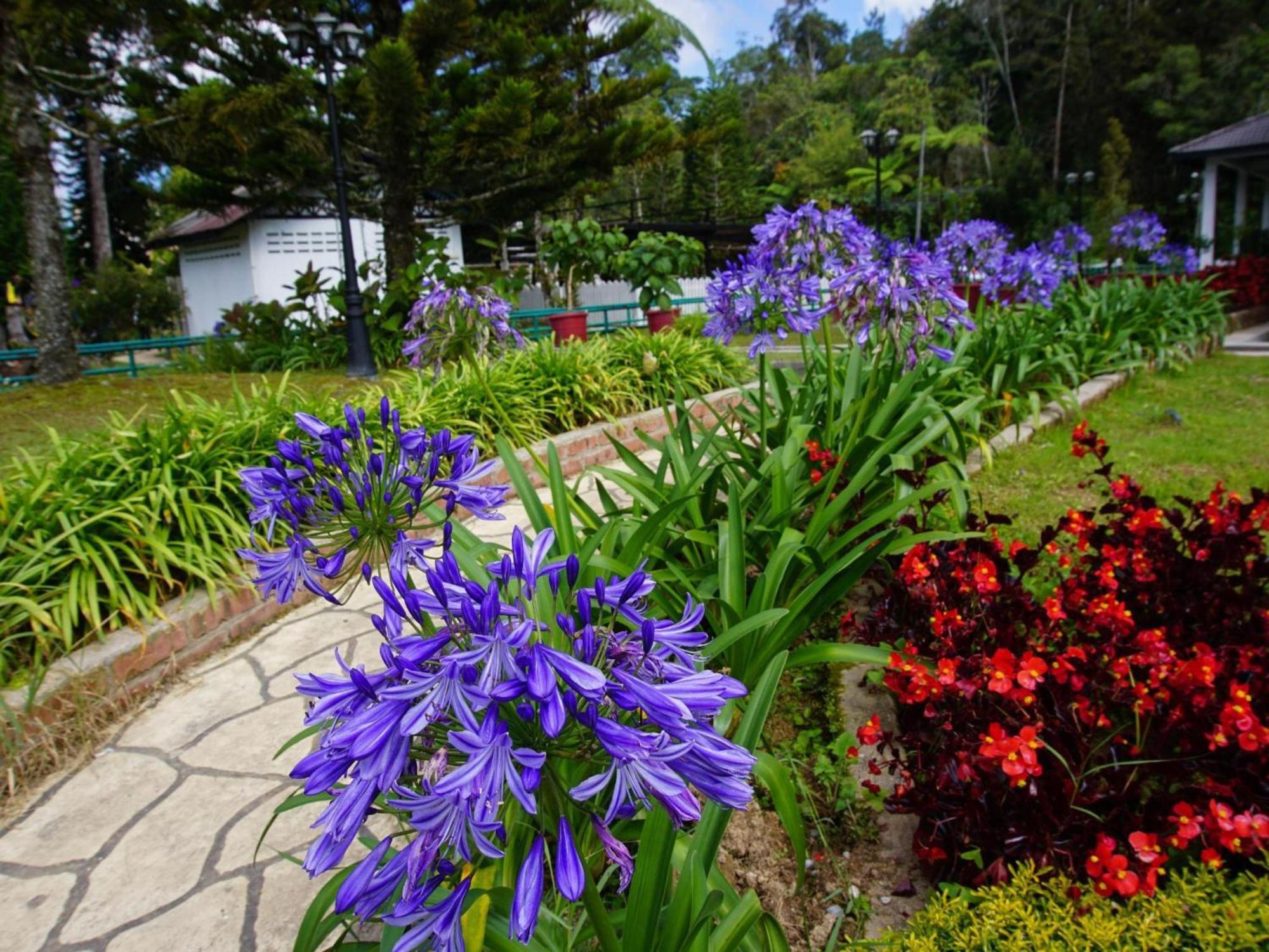 Spot On 89751 Bed Station Guest House Tanah Rata Exterior foto