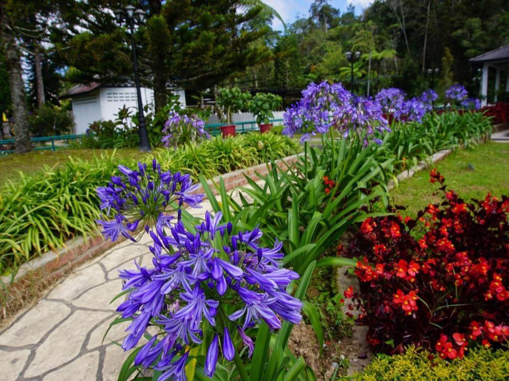 Spot On 89751 Bed Station Guest House Tanah Rata Exterior foto