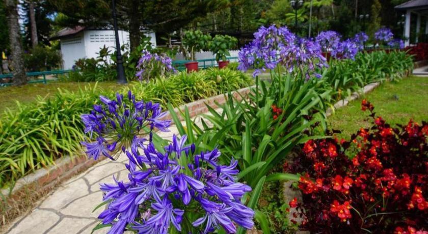 Spot On 89751 Bed Station Guest House Tanah Rata Exterior foto